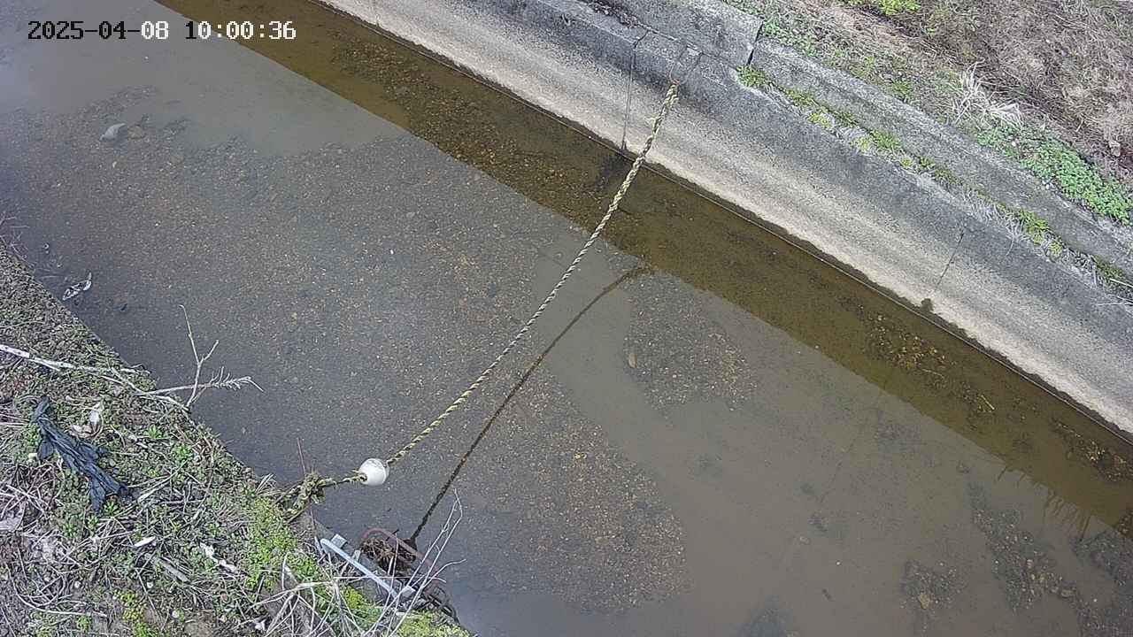 area10-20250408100037.jpg