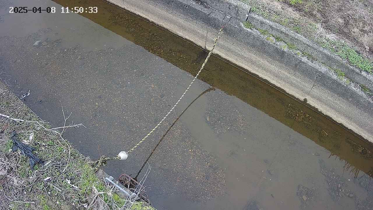 area10-20250408115035.jpg