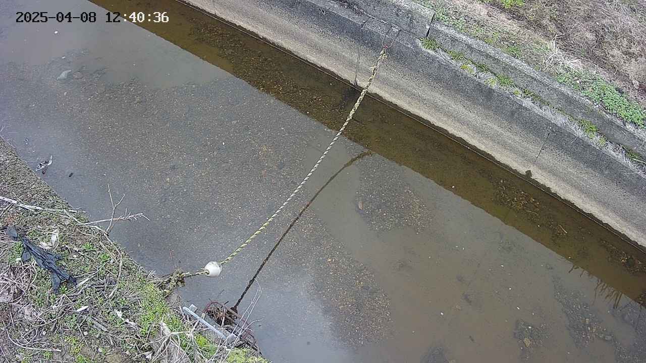 area10-20250408124038.jpg