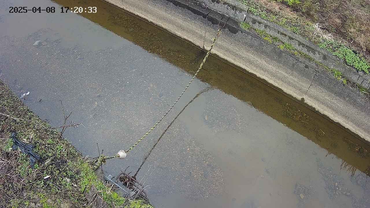 area10-20250408172035.jpg