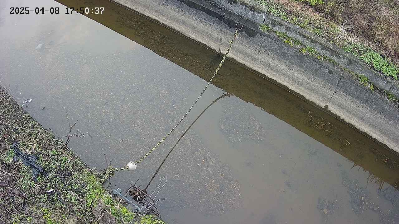 area10-20250408175039.jpg