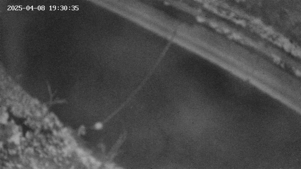 area10-20250408193036.jpg