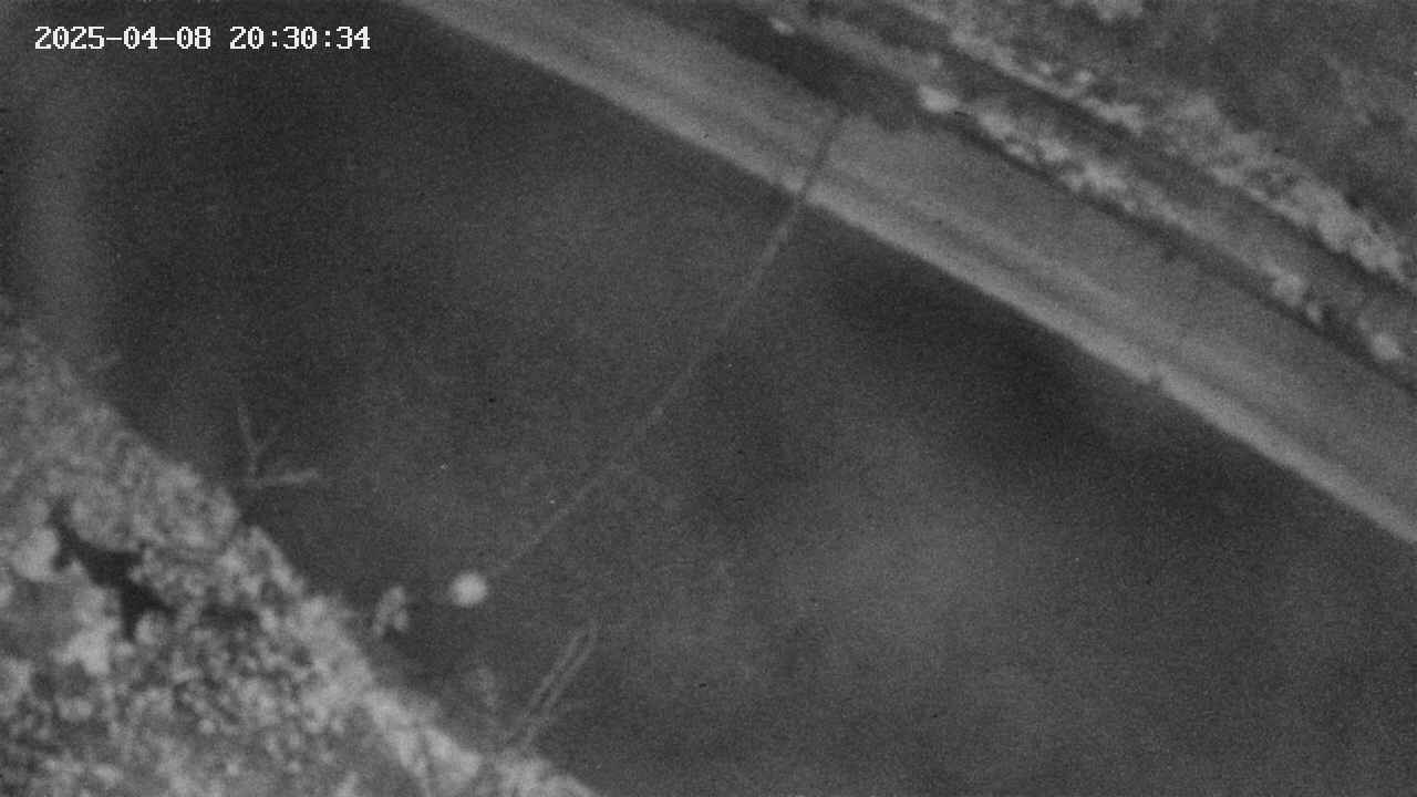 area10-20250408203036.jpg