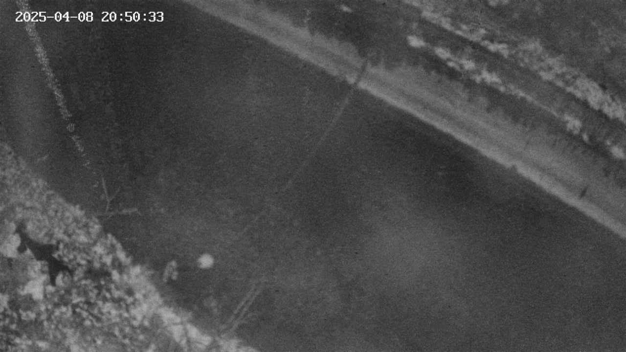 area10-20250408205035.jpg