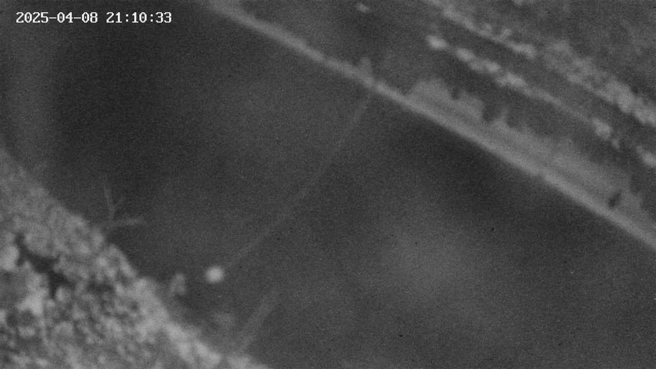 area10-20250408211035.jpg
