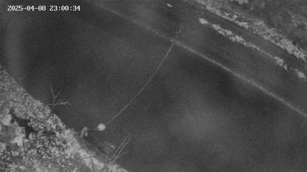 area10-20250408230035.jpg
