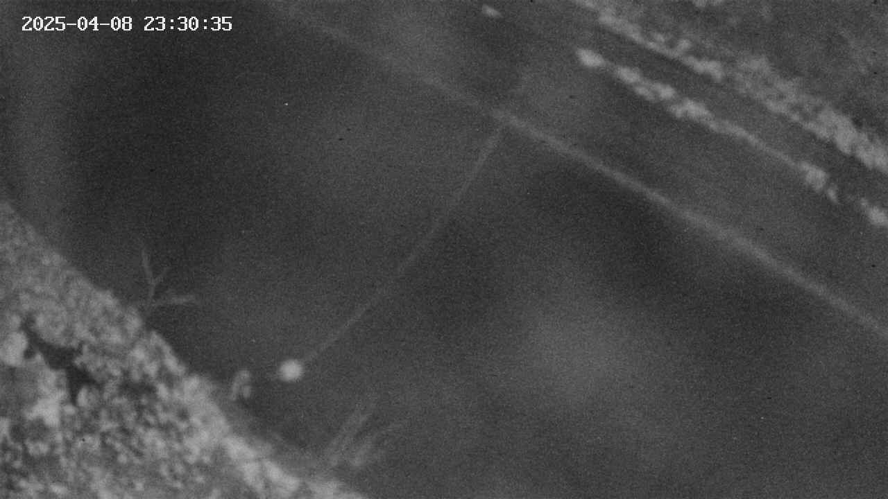 area10-20250408233036.jpg