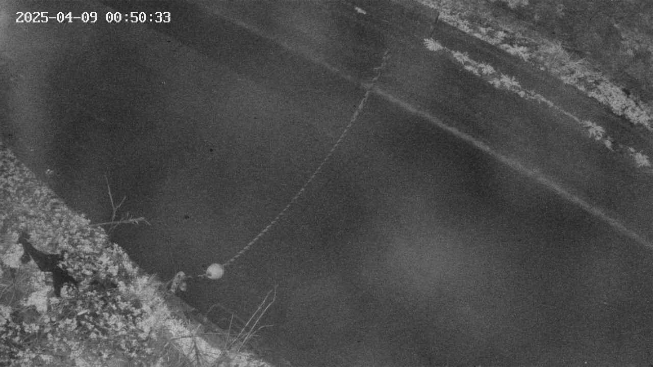 area10-20250409005035.jpg