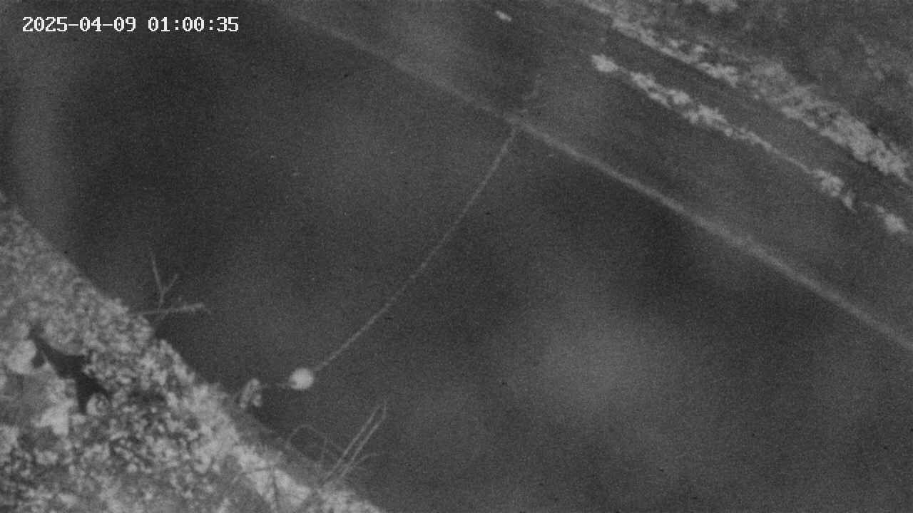 area10-20250409010037.jpg