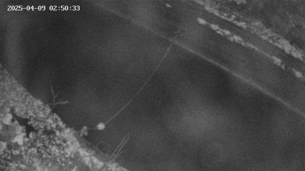 area10-20250409025035.jpg