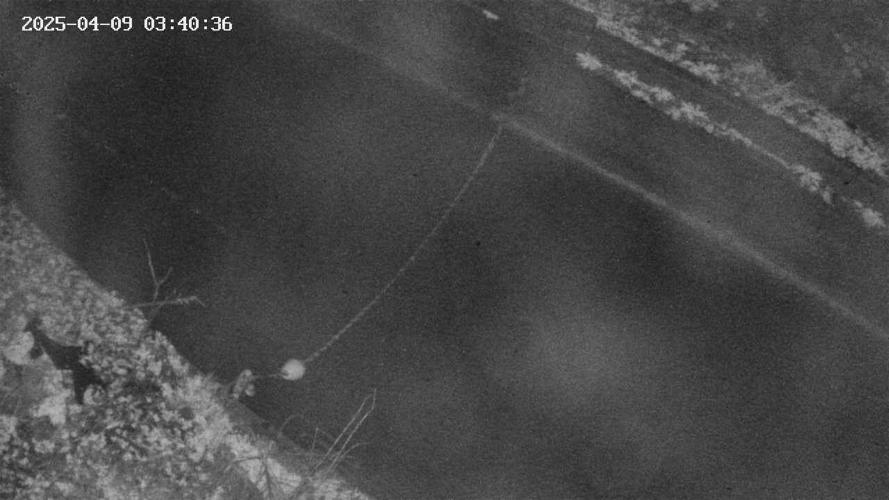 area10-20250409034037.jpg