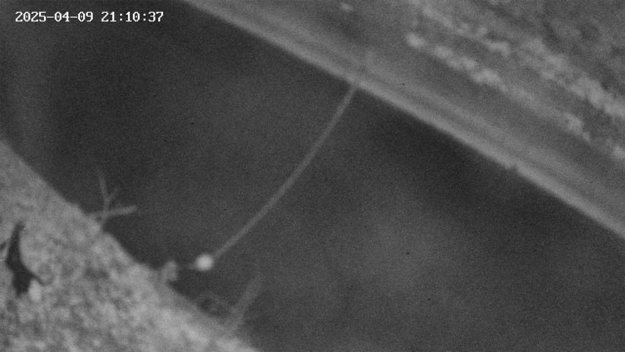area10-20250409211038.jpg