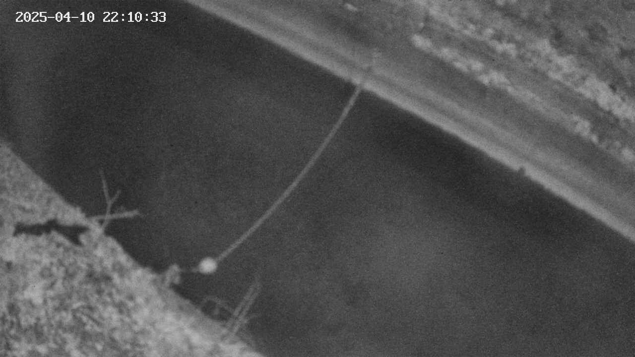 area10-20250410221034.jpg