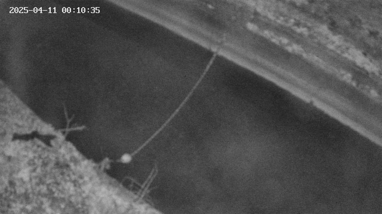 area10-20250411001037.jpg