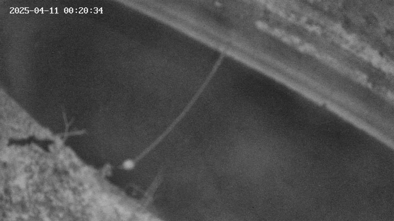 area10-20250411002035.jpg