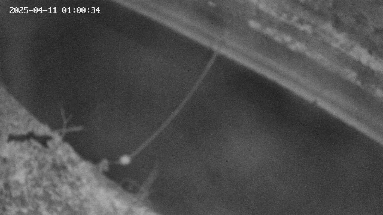 area10-20250411010036.jpg