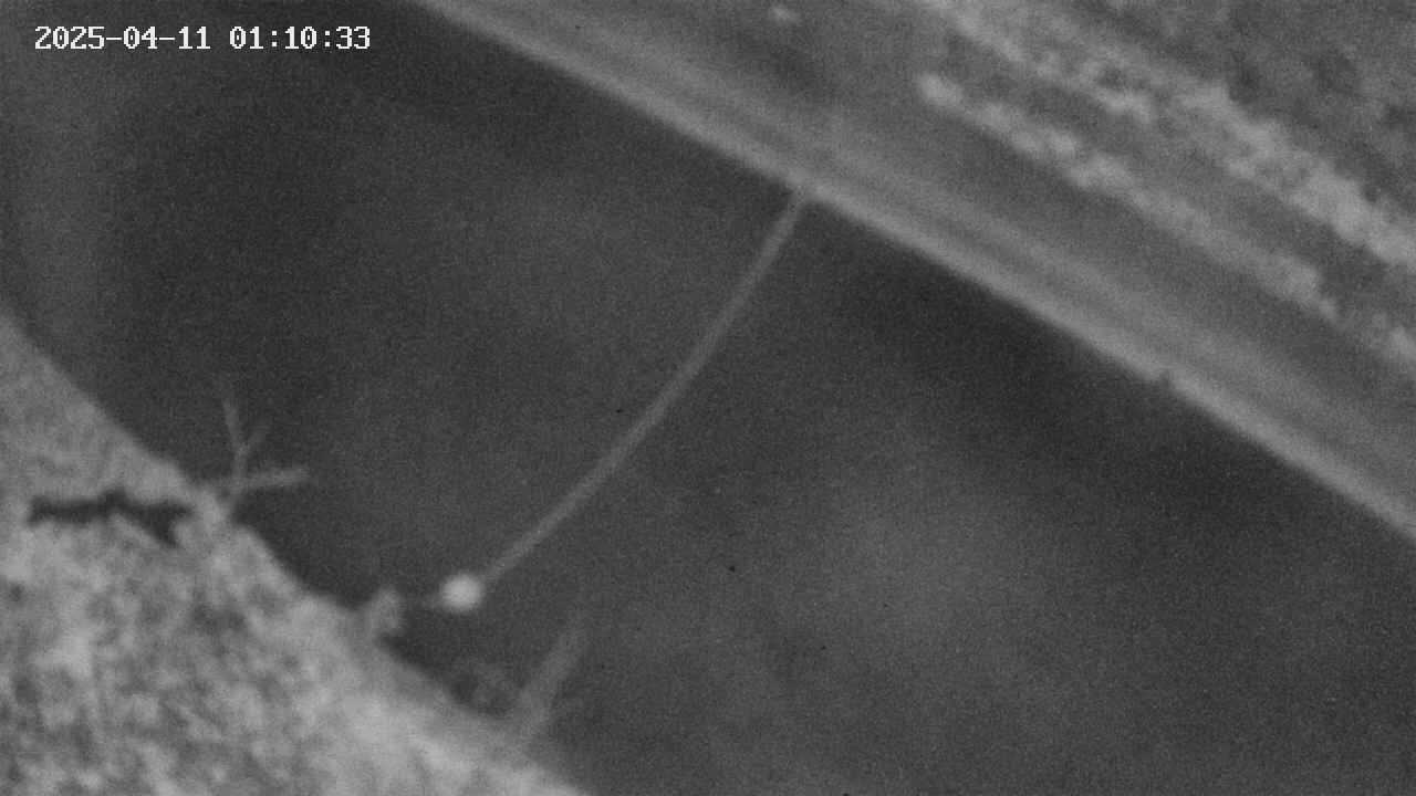 area10-20250411011035.jpg