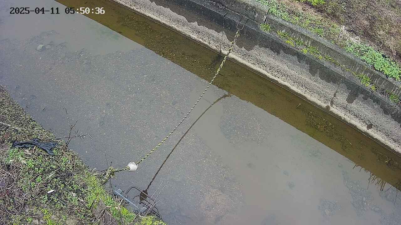 area10-20250411055037.jpg