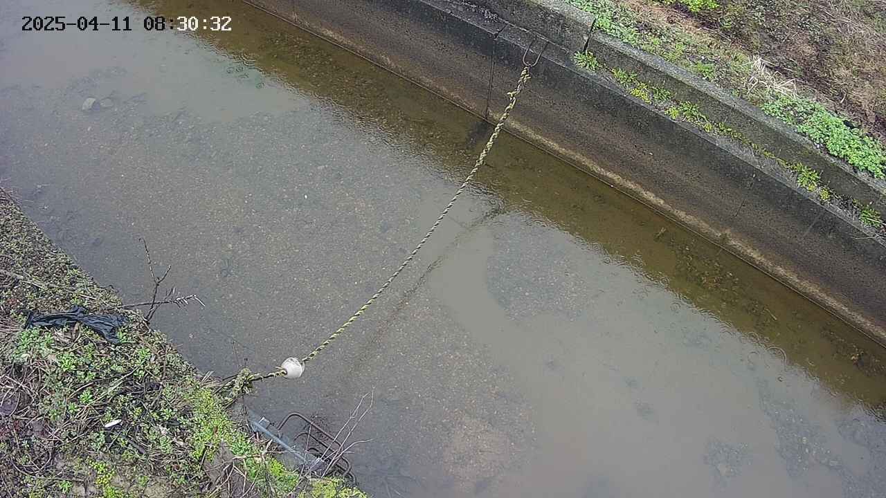 area10-20250411083033.jpg