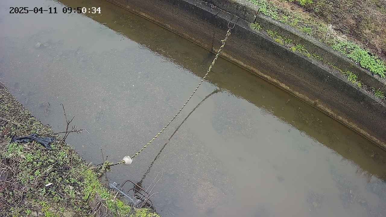 area10-20250411095035.jpg