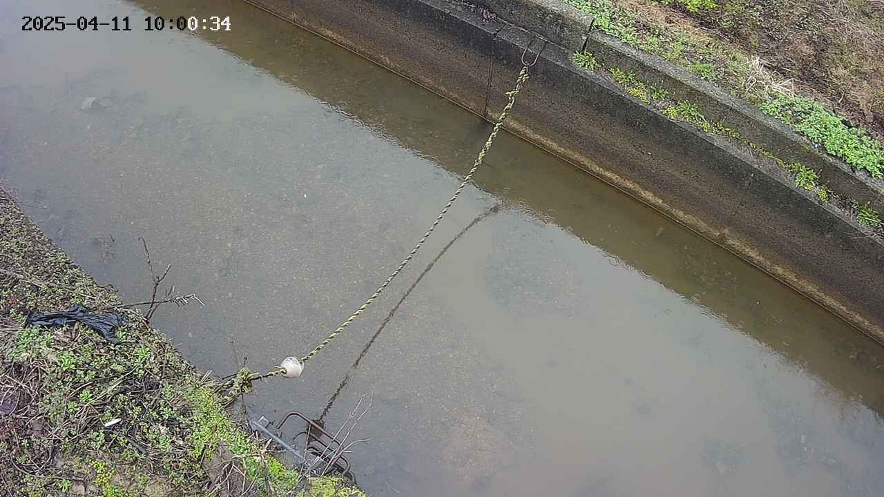 area10-20250411100035.jpg