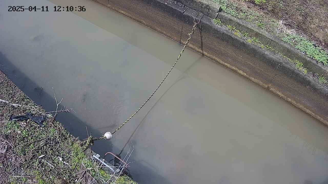 area10-20250411121037.jpg