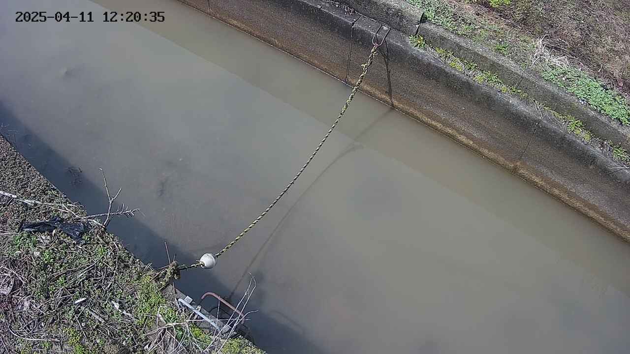 area10-20250411122036.jpg