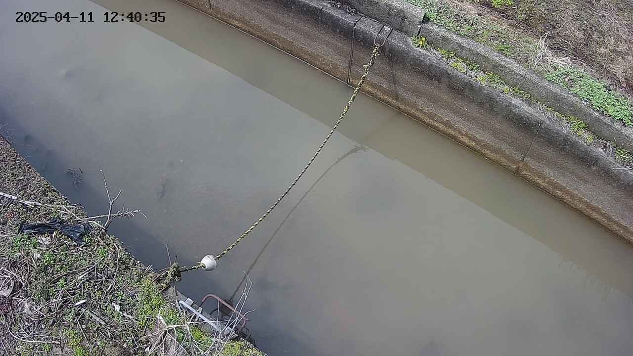 area10-20250411124036.jpg