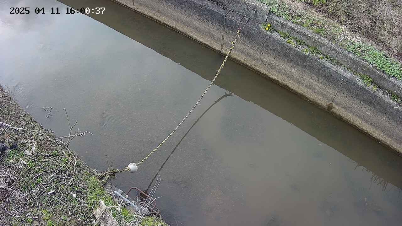 area10-20250411160039.jpg