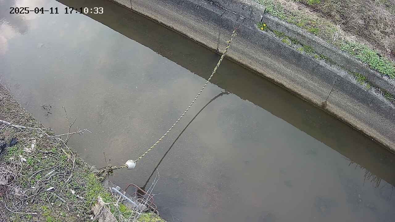 area10-20250411171034.jpg