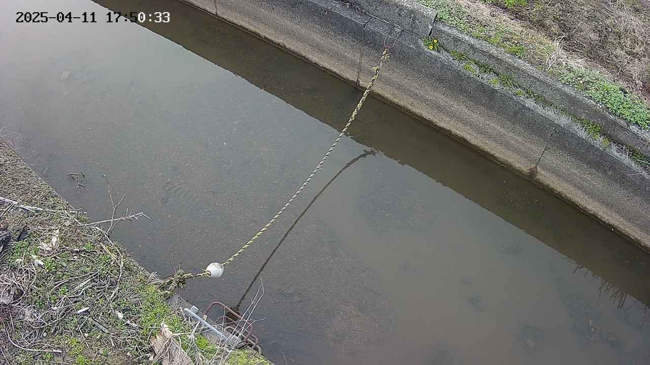 area10-20250411175034.jpg