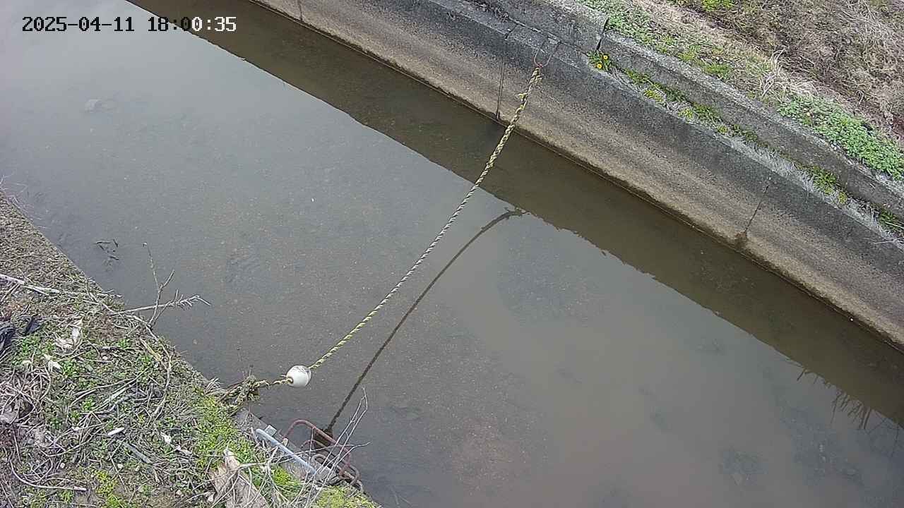area10-20250411180036.jpg