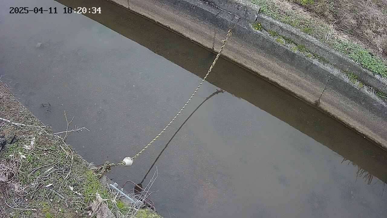 area10-20250411182035.jpg