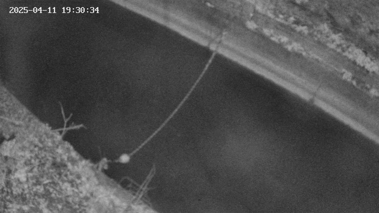 area10-20250411193035.jpg