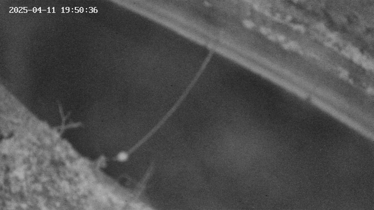 area10-20250411195037.jpg