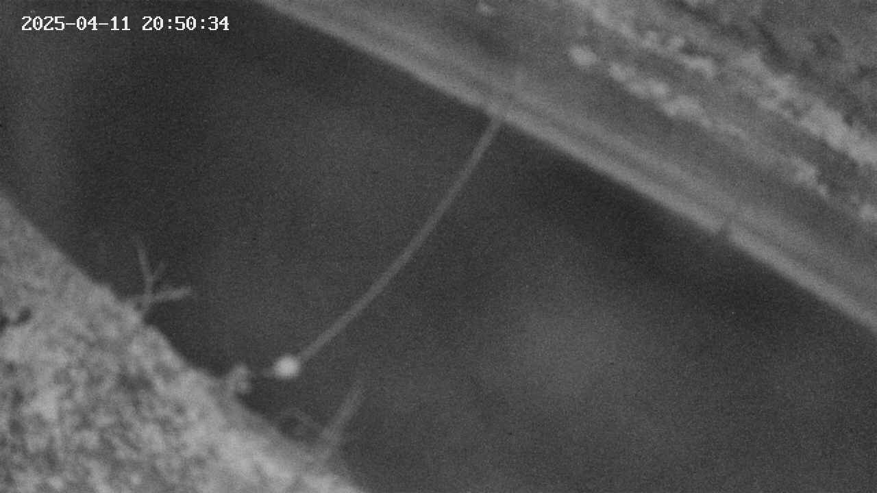 area10-20250411205035.jpg