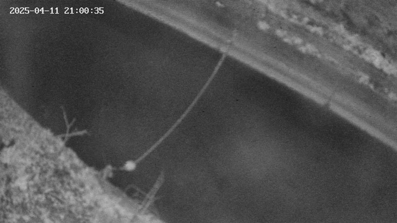 area10-20250411210036.jpg