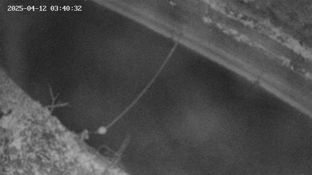 area10-20250412034033.jpg