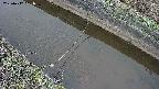 area10-20250412051036.jpg