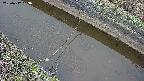 area10-20250412053036.jpg