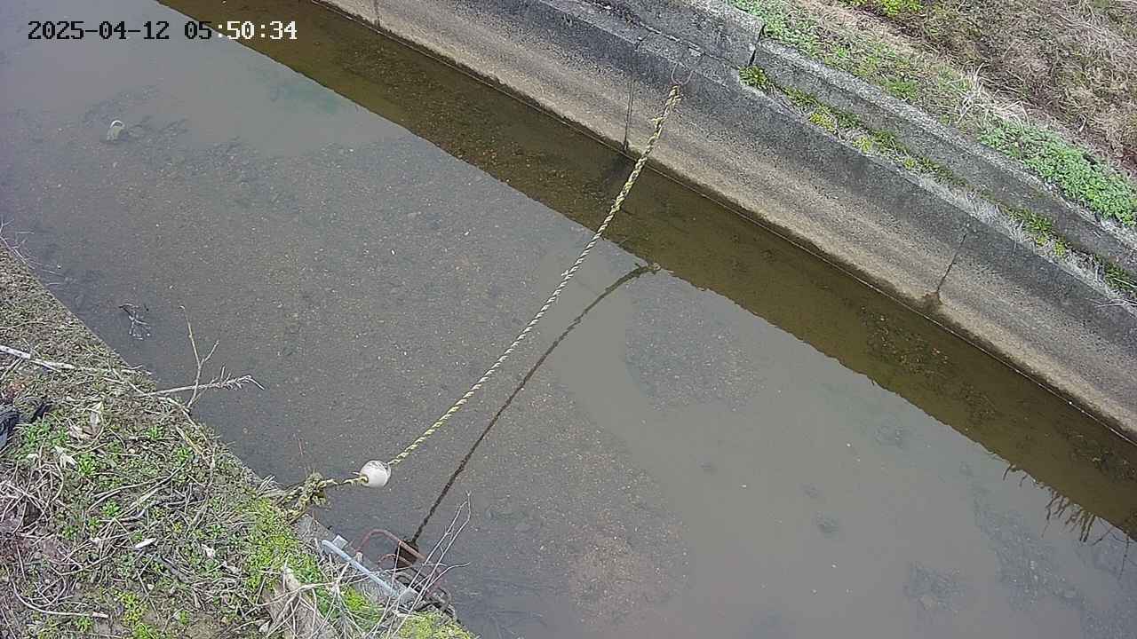 area10-20250412055035.jpg