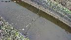 area10-20250412055035.jpg