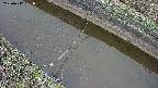 area10-20250412061037.jpg