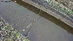 area10-20250412062036.jpg