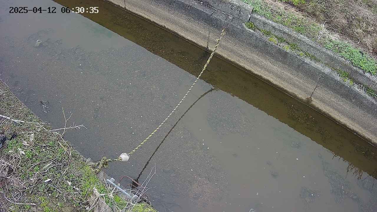 area10-20250412063036.jpg