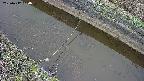area10-20250412064036.jpg