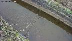 area10-20250412070036.jpg