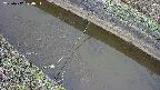 area10-20250412074034.jpg