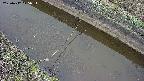 area10-20250412075035.jpg