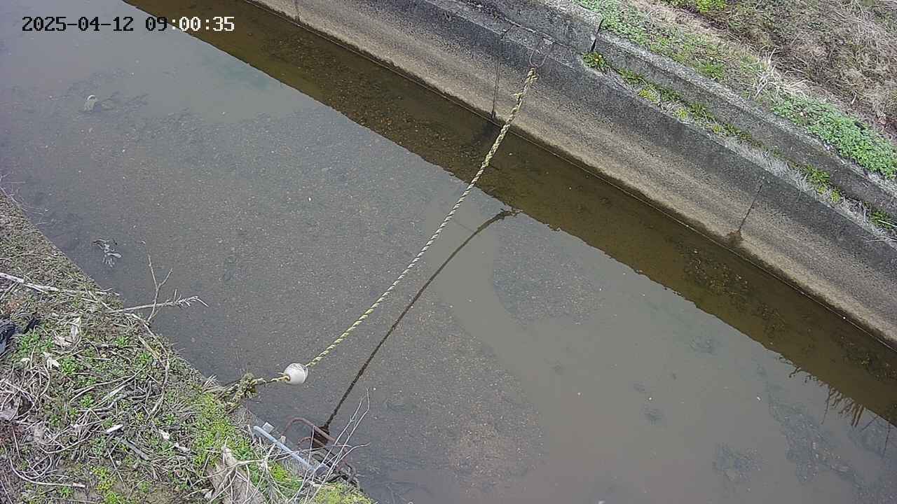 area10-20250412090036.jpg
